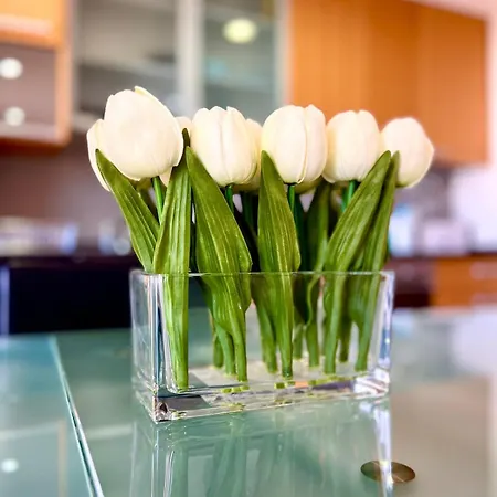 Viva Onda Baleal Surfing &