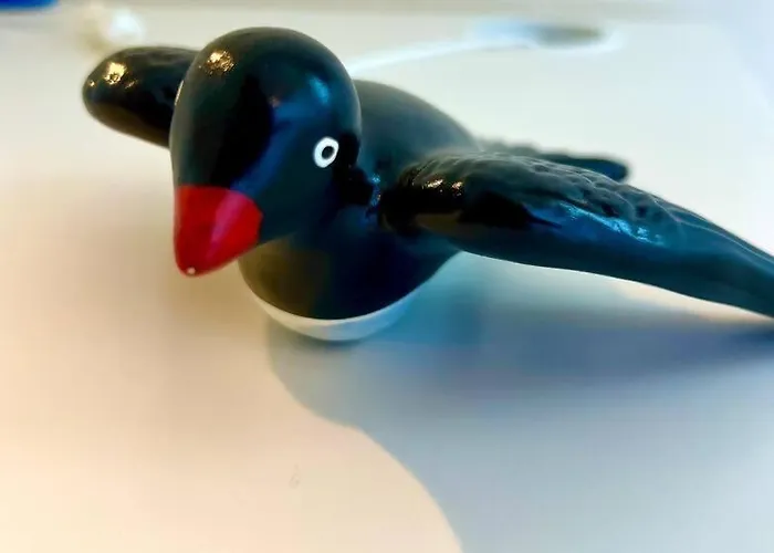 Viva Viva Onda Baleal • Surf&praia A 5 Min A Pé Appartamento Ferrel (Leiria)