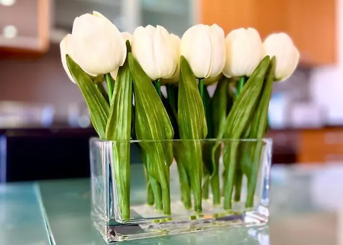 Appartamento Viva Viva Onda Baleal • Surf&praia A 5 Min A Pé *